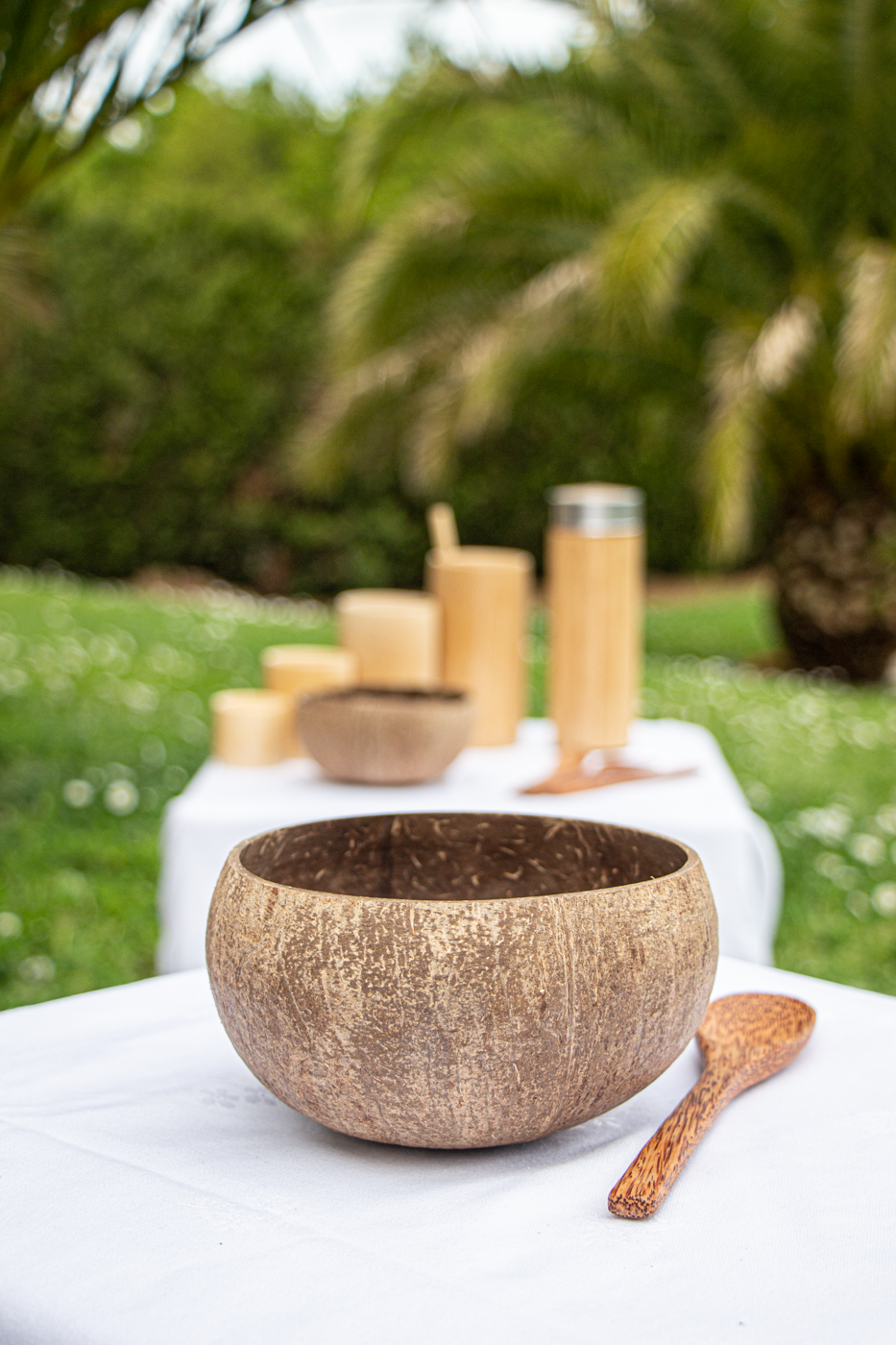 Bol en Noix de Coco 100% Naturel
